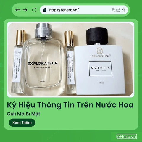 Ký Hiệu Thông Tin Trên Nước Hoa: Giải Mã Bí Mật