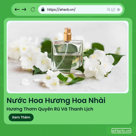 Nước Hoa Hương Hoa Nhài: Hương Thơm Quyến Rũ Và Thanh Lịch