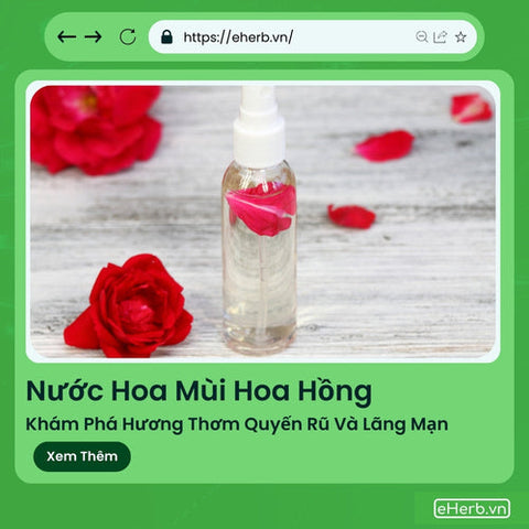 Nước Hoa Mùi Hoa Hồng: Khám Phá Hương Thơm Quyến Rũ Và Lãng Mạn