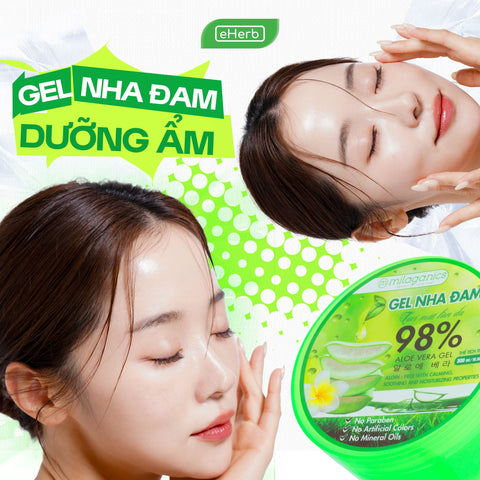 5+ Cách làm đẹp bằng nha đam đơn giản và hiệu quả