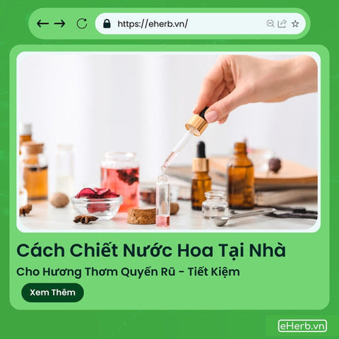 Cách Chiết Nước Hoa Tại Nhà Cho Hương Thơm Quyến Rũ