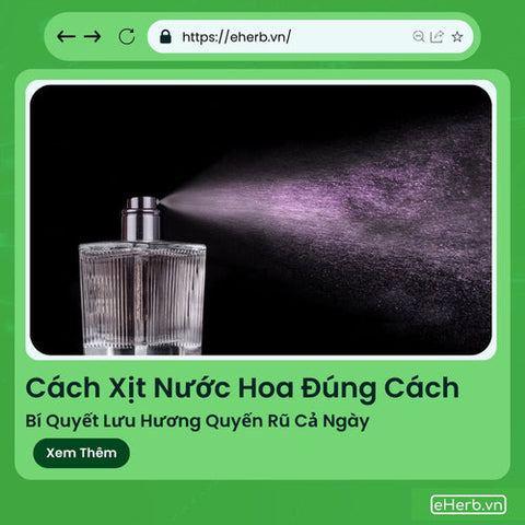 Cách Xịt Nước Hoa Đúng Cách: Bí Quyết Lưu Hương Quyến Rũ Cả Ngày