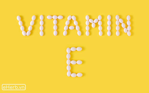 Dưỡng Thể Vitamin E: Giải pháp Làn Da Khỏe Đẹp Tự Nhiên